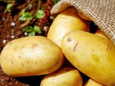 Вчені запевняють що картопля з магазинів підвищує ризик раку на 40% Вчені запевняють що картопля з магазинів підвищує ризик раку на 40%