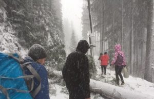 Карпати засипало сильним снігом: як виглядає зима в жовтні, фото, відео