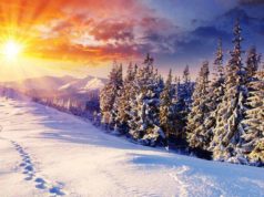 Гороскоп на 9 грудня 2019 для всіх знаків Зодіаку Гороскоп на 9 грудня 2019 для всіх знаків Зодіаку