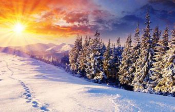 Гороскоп на 9 грудня 2019 для всіх знаків Зодіаку